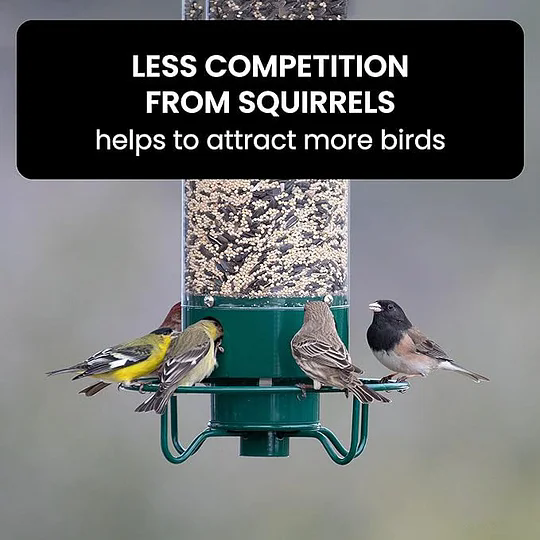 Squirrel-Proof Bird Feeder