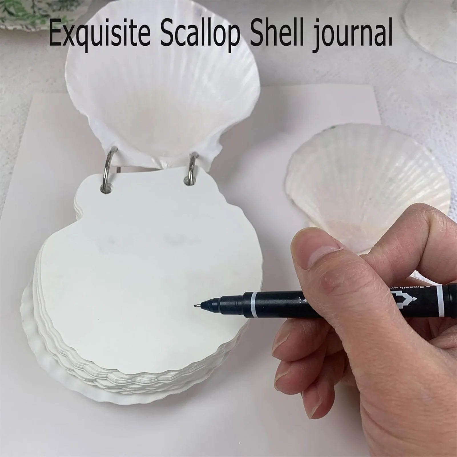 Cute Shells Shaped Daily Notebook