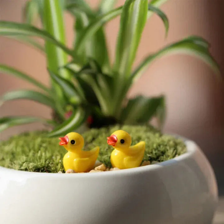 🦆Tiny Ducks | Challenge Hiding Ducks(50/100/200PCS)