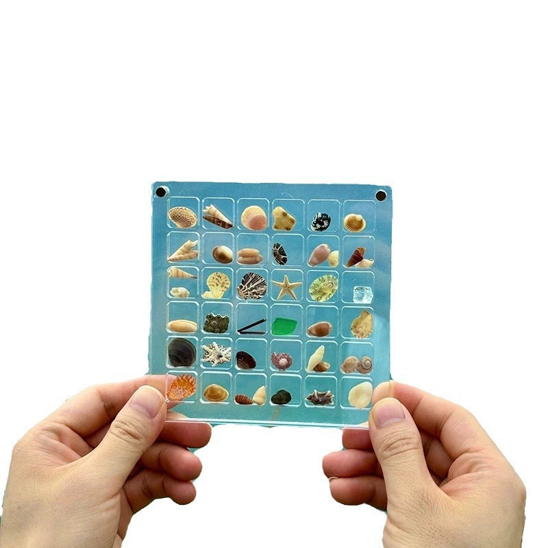 Magnetic Clear Acrylic Shell Display Box