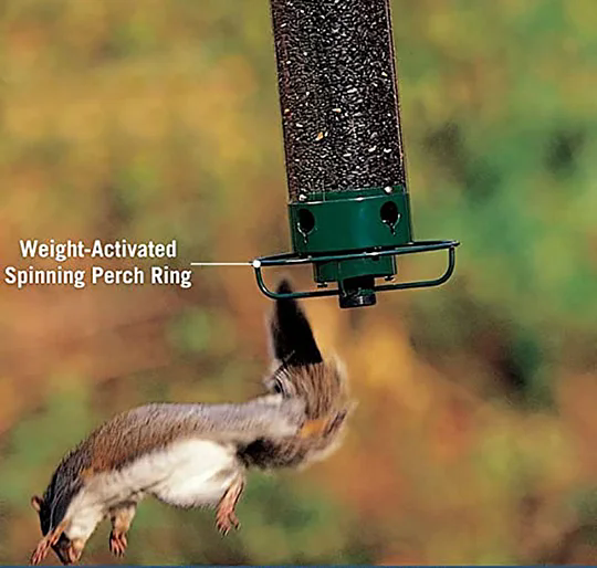 Squirrel-Proof Bird Feeder