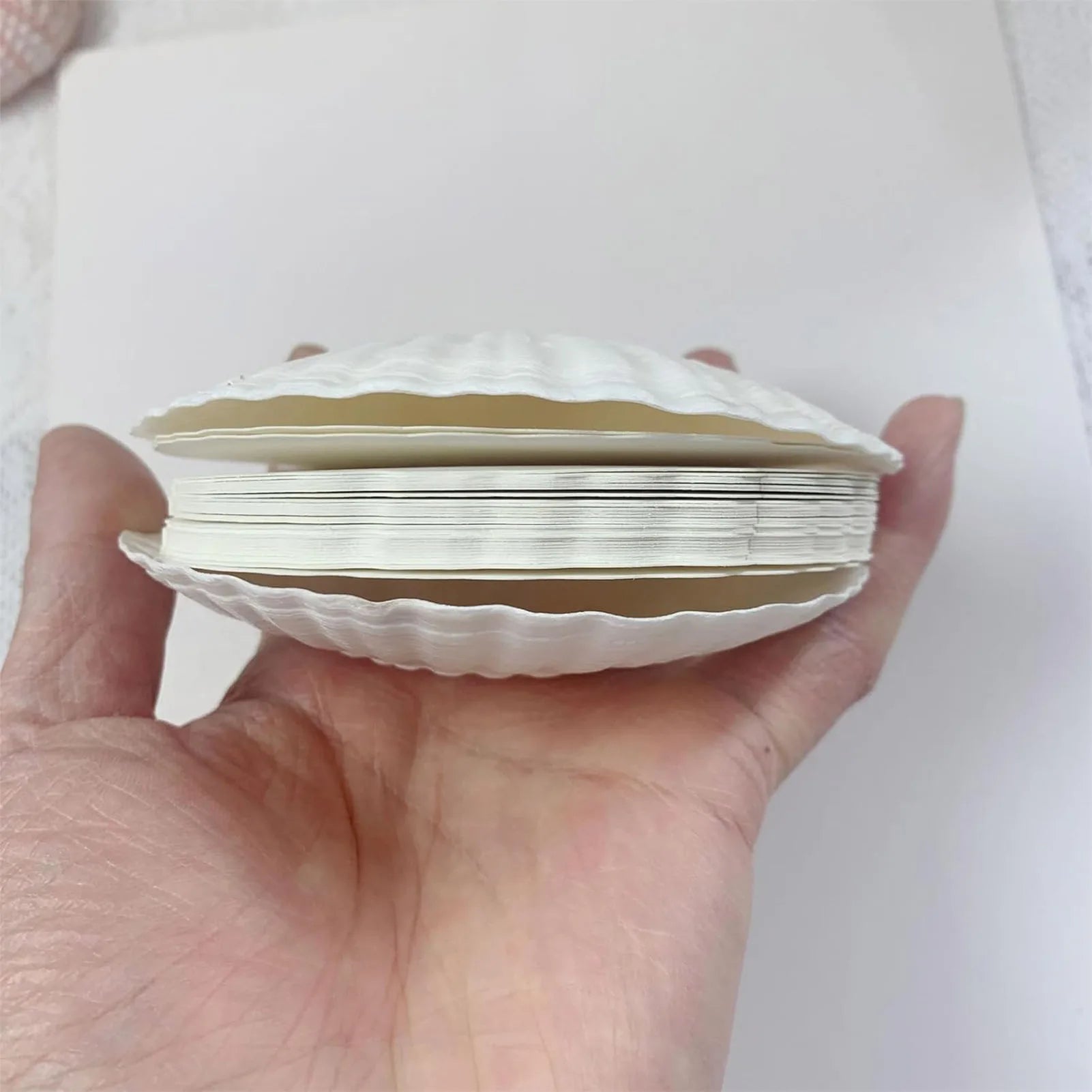 Cute Shells Shaped Daily Notebook