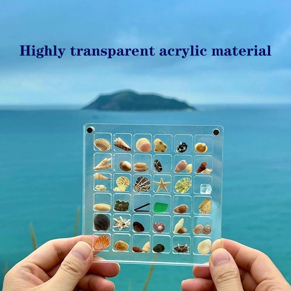 Magnetic Clear Acrylic Shell Display Box